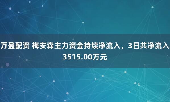 万盈配资 梅安森主力资金持续净流入，3日共净流入3515.00万元